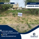 Las Palomas 253 - Oro Verde